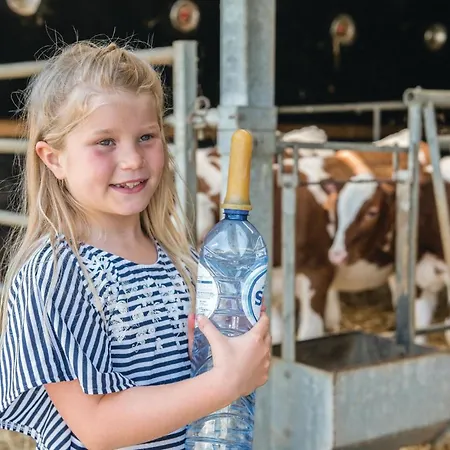 Haus Engel-rafael * Steffeshausen